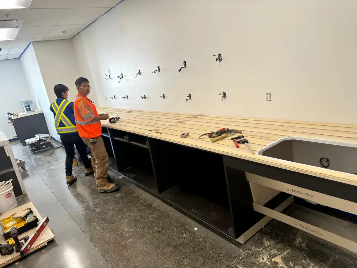 renovation